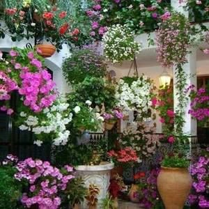 Meet your Posher, Havana